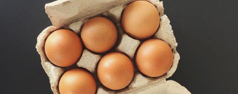 Genezen van myasthenia gravis