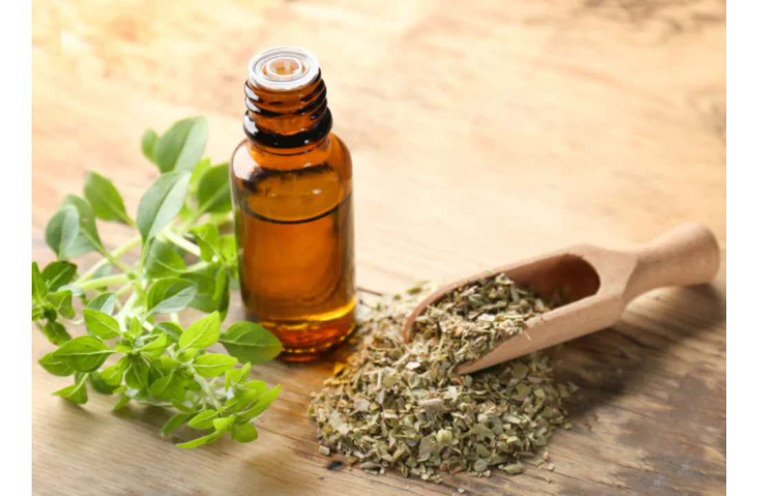 Productdossier: oregano-olie